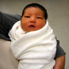 Papoose